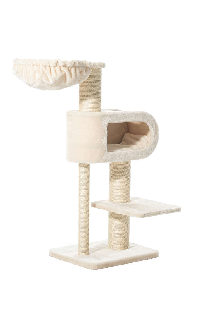 Nobby Kratzbaum Tove